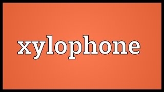 Xylophone Meaning [upl. by Ahsias109]