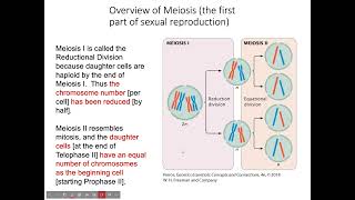 BIOL 2416 Chapter 2 Part 2 Lecture recording [upl. by Sherilyn]