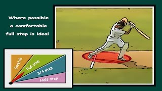 How to cricket batting tips 7 ways to increase power [upl. by Gudrun345]