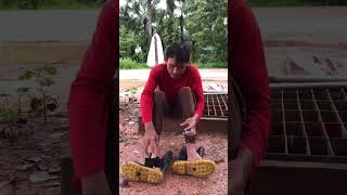 ลองดมดูก่อน🤣🤣 funny comedy ตลก funnyshorts comedyvideos คลิปตลก ขำขัน คลายเครียด shorts [upl. by Yenahteb]