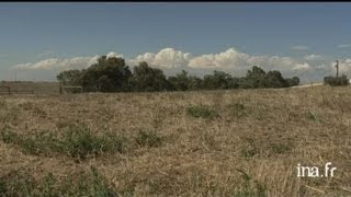 Australie  élevage de moutons [upl. by Jock]