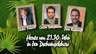 Die große BILDDschungelshow im LiveStream  29012016 [upl. by Ykciv]