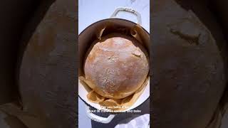 The EASIEST No Knead Bread [upl. by Ahtera]