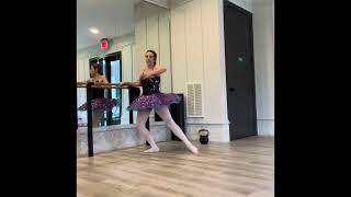 Taylor Swift Ballet Barre Tendus [upl. by Ayahc300]