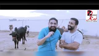 LOW BUDGET ME BEHTAREEN JANWAR PALAI KA SATH  ZAMANZ CATTLE FARM INTERVIEW ZAMANZFARM [upl. by Wie]