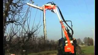 Подстригающая машина Rinieri ORP orchards pruning machine [upl. by Sylvan756]