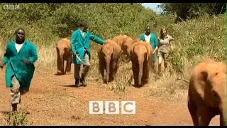 Elephant Diaries S01E04 [upl. by Harlan]