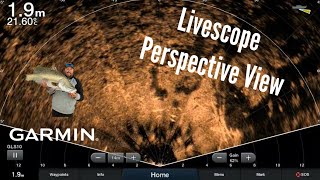 Garmin Tech Tips  Livescope Perspective View [upl. by Isador]