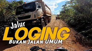 PURUK CAHU SALAH DIKIT HILANG NYAWA MENUJU JANTUNG KALIMANTAN metalcilik borneo [upl. by Pinkham]