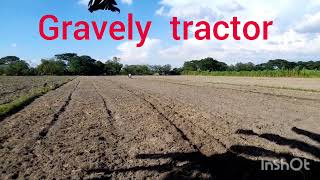 planting corn with a  carabow in the Philippines 🇵🇭 [upl. by Narhet606]