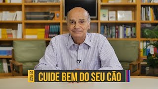 Cuidados contra a leishmaniose canina  Coluna 63 [upl. by Debee]