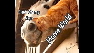 Fun Bedtime Story For Kids  Heidi Cherry amp Vaya  Horse World [upl. by Jess]