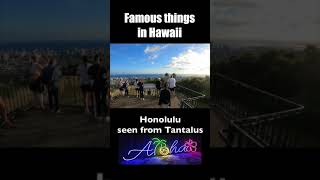 TANTALUS  HONOLULU SEEN FROM ABOVE short waikiki Tantalus [upl. by Archle]