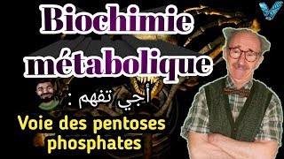 Biochimie métabolique en arabe partie des glucides Voie des pentoses phosphates SVI S4 [upl. by Paton]