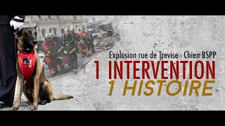 Explosion rue de Trévise  un chien pompier de Paris récompensé [upl. by Schweitzer]