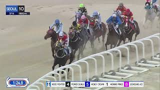 Seoul 20240316 R10 Class 3 1800M Handicap [upl. by Lyris]