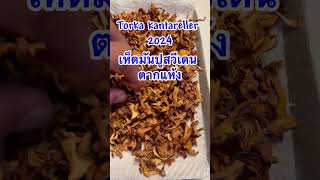 Torka kantareller 2024 เห็ดมันปูสวีเดน ตากแห้ง nyheter food mashroom lifestyle [upl. by Travax]