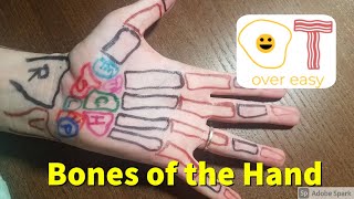 Bones of the Hand and How to Palpate Them [upl. by Ativad]