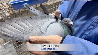 TR21300334  \u00100 Van Loon [upl. by Gaidano]