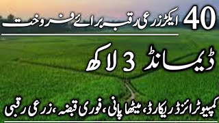 Agriculture Land For Sale  Land for sale Zameen for sale  02 [upl. by Richara286]