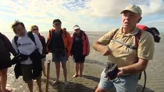 Wattenmeer  Erholung im Rhythmus der Natur  UNESCO Welterbe [upl. by Gordon]