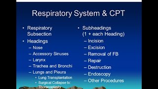 CPTRespiratory system Guidelines [upl. by Sigvard]