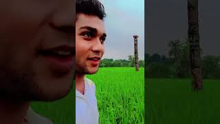 ওলিরও কথা শুনে বকুল হাসে song olirokothasunebokulsashe [upl. by Nosnorb]