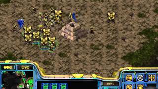 StarCraft Brood War FPVOD bruce vs hanigan pvt new [upl. by Vullo]