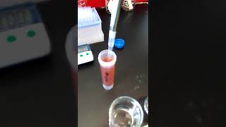 Phenol analysis using Folin Ciocalteu reagent5 [upl. by Ddal29]