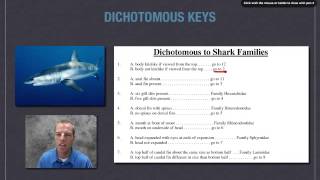 Classifying with Dichotomous Keys [upl. by Nolte488]