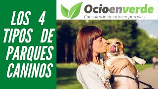 4 tipos de parques caninos [upl. by Woodall]