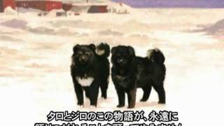 南極犬物語―南極大陸に残されたタロ、ジロたちは [upl. by Tessi]