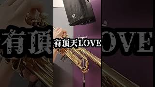 明日も有頂天LOVEやで。 angerme trumpet リクエスト [upl. by Legnaesoj]