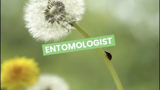 Discover Careers Entomologist  Sortyourfuture [upl. by Neraj]