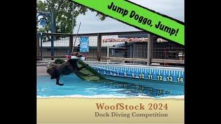 WoofStock 2024 DOCK DIVING dog sporting competition at K9 Water World [upl. by Rezeile22]