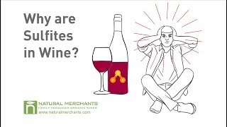 Why are Sulfites in Wine [upl. by Riccio]