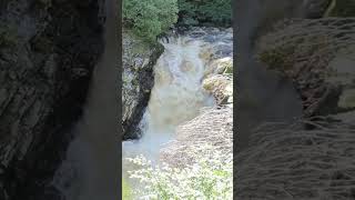 Reekie Linn Waterfall waterfall water scotland [upl. by Ahsinam]