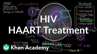 HAART treatment for HIV  Who what why when and how  NCLEXRN  Khan Academy [upl. by Ardnaed]