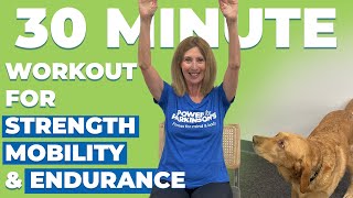 30 Minute Workout for Parkinsons Symptoms  Improve Strength Mobility amp Endurance [upl. by Kolodgie]