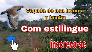 CAÇADA de ASA BRANCA e LAMBU com Estilingue [upl. by Harpole]