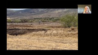 Possible Brush Arson Points in Lahaina Fire amp Kula Fire v2 [upl. by Burrell]