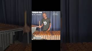 Tshwala bam  Marimba Version  by Nyasha Zengeni  Thumbs up to TitoMyuppe ft SNE music marimba [upl. by Ecinaej]