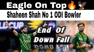 Shaheen Shah Afridi No 1 ODI Bowler  Eagle On Top 🦅  indian media Shock🤯 [upl. by Berck20]