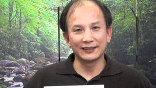 100 Days of Spring Forest Qigong  an Energy Tip from Master Chunyi Lin [upl. by Notselrahc]