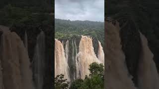 Jog fallsRaja Rani Roarerjogfalls 2024rains mansoon 2024mansoon [upl. by Kalman]