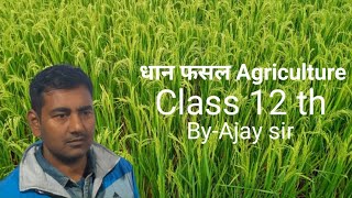 Oryza sativa धान ll Class 12th ll Agriculture ll NCERT ll Bihar Board ll ByAjay sir [upl. by Sivet628]