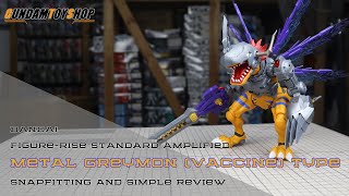 Bandai FigureRise Standard Amplified Metal Greymon Vaccine Sample Build Snapfit and Simple Review [upl. by Haswell]