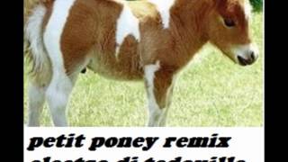 PETIT PONEY REMIX ELECTRO BY DJ TEDOUILLE [upl. by Cindelyn667]