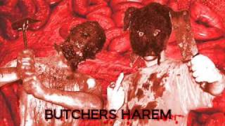 HCR Butchers Harem  Butcherd Enema Ft Barium Enema [upl. by Nnayecats]