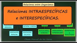 Relaciones Ecológicas Intraespecíficas e Interespecíficas Interacciones en los Ecosistemas [upl. by Barlow]